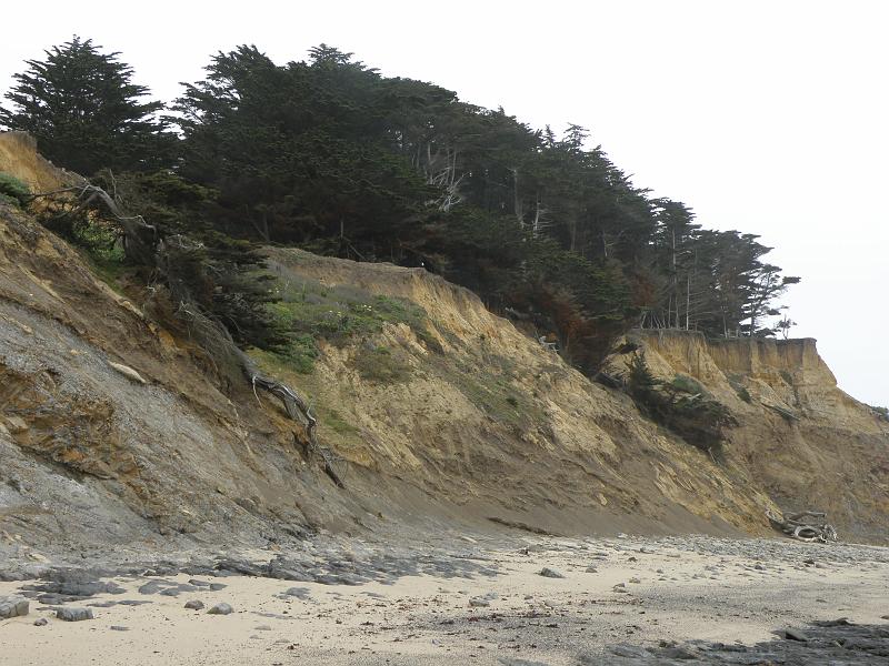 P6182034. Fitzgerald Reserve.JPG